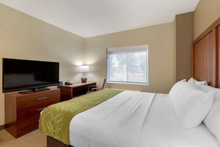 1 King Bed Suite (4 of 16)