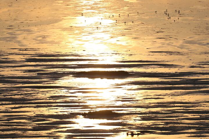 Beach 41 of 41