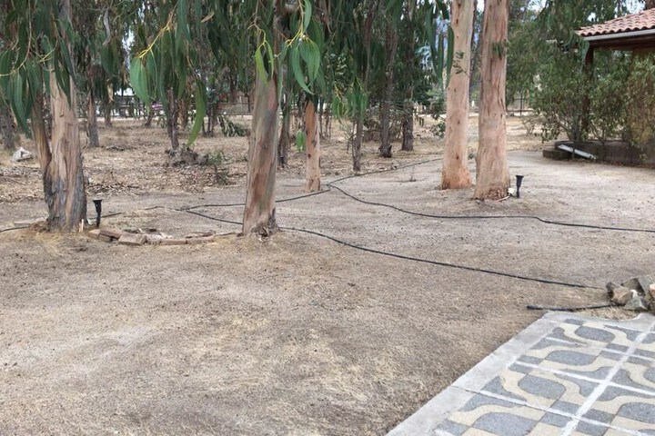 Property Grounds 36 of 49