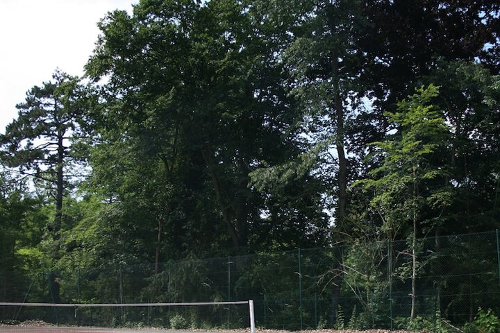 Tennis and Basketball Courts 24 of 38