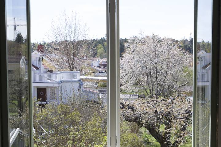 View from room