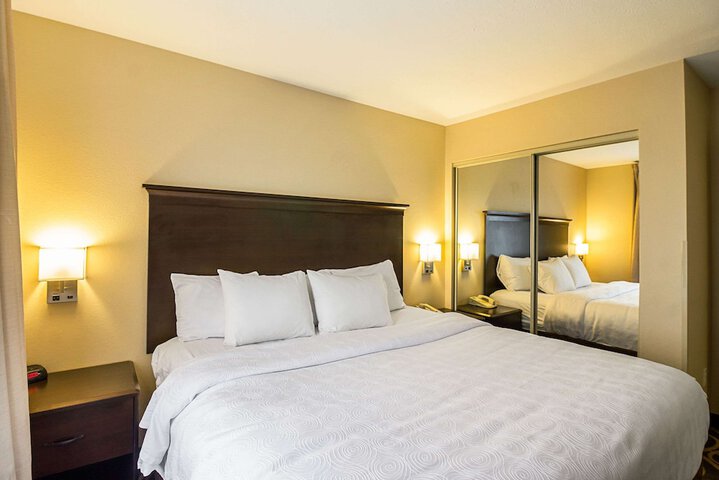 1 King Bed Suite (4 of 22)