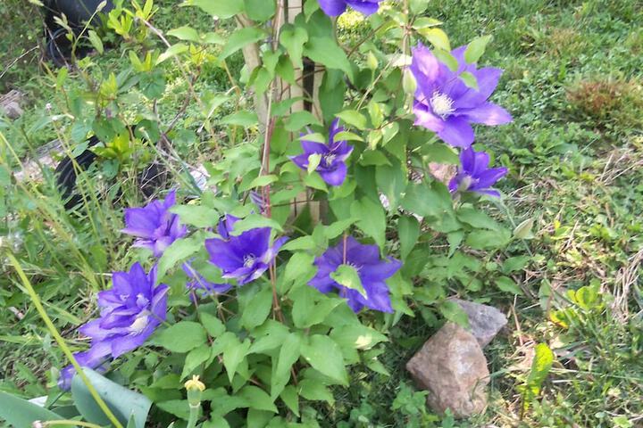 Hotel Exterior 36 of 38