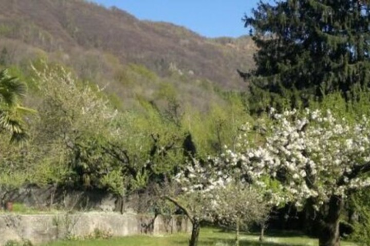 Photo 12