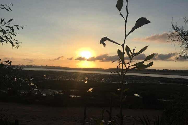 Beach 60 of 65