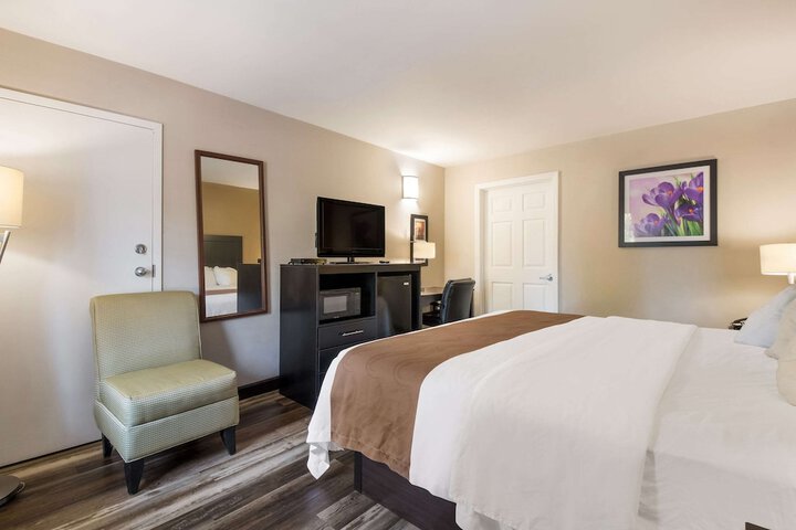 1 King Bed (11 of 13)