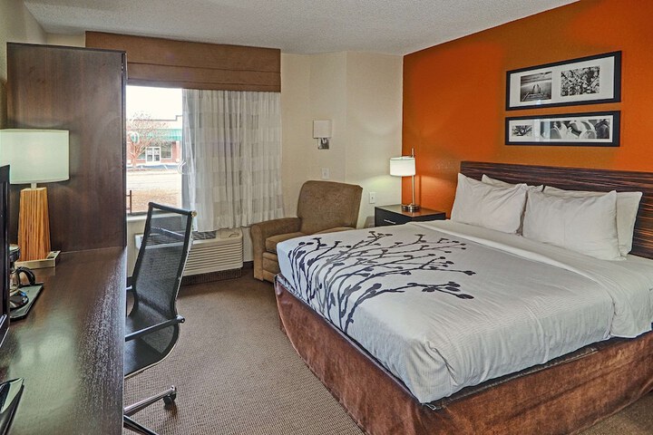 1 King Bed (2 of 7)