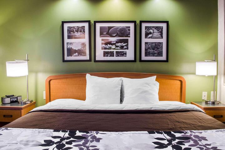 1 King Bed (6 of 13)