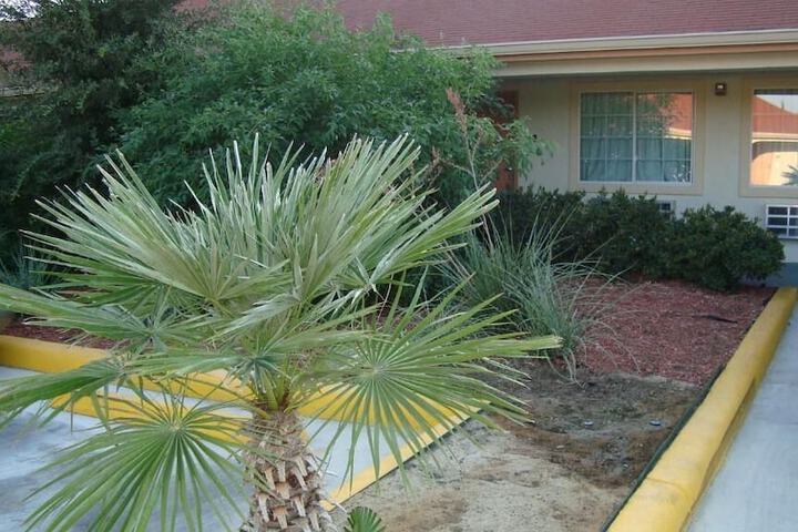 Property Grounds 30 of 45