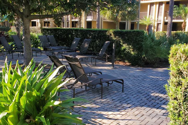 Garden view