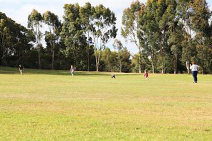 Property Grounds 22 of 25