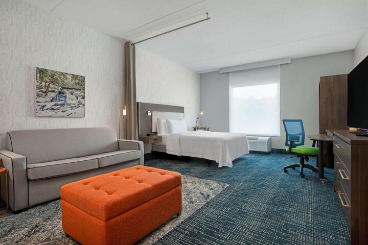 1 Queen Bed Studio Suite with Sofa Bed (10 of 20)
