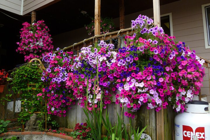 Hotel Exterior 29 of 41