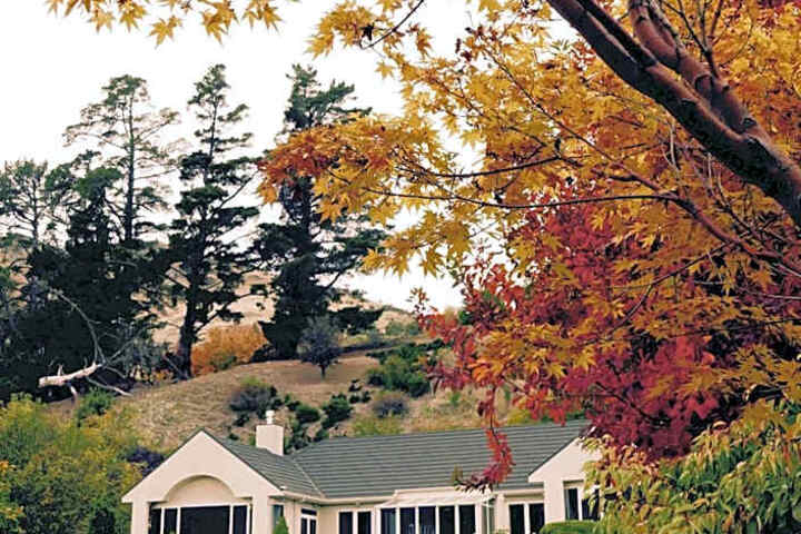 The Shans Lodge