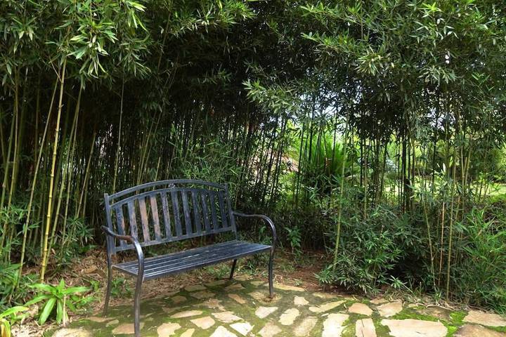 Property Grounds 20 of 24