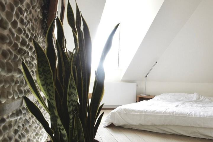 Room 7 of 44