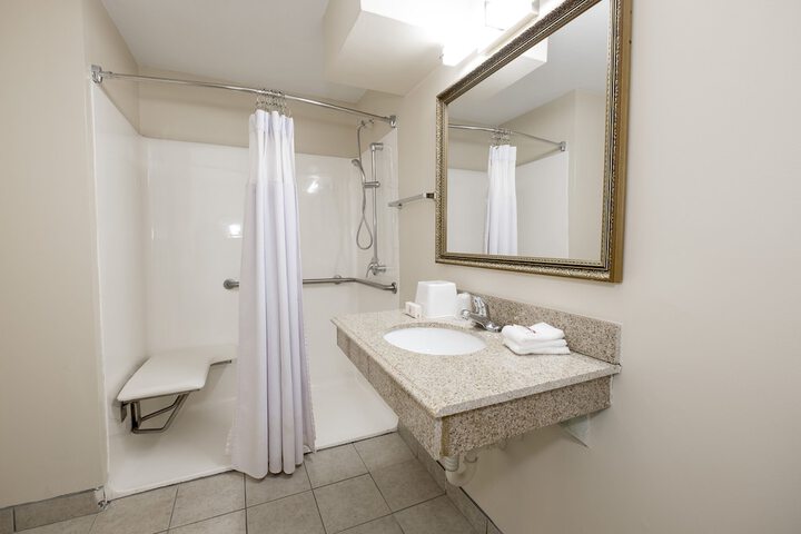 ADA Accessible Deluxe King with Roll in Shower (3 of 12)