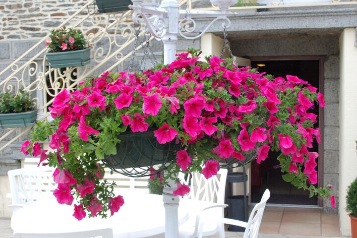 Terrace/Patio 60 of 67