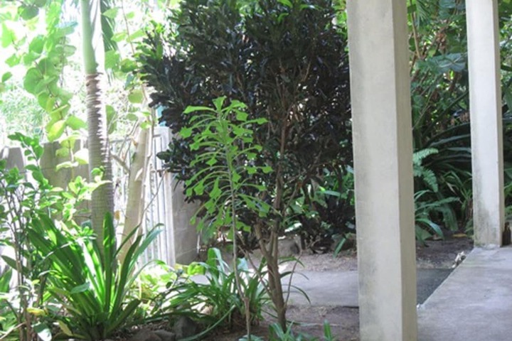 Terrace/Patio 11 of 14