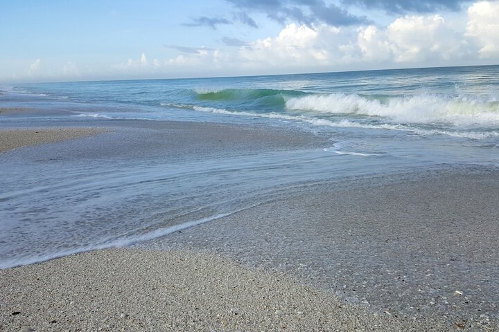 Beach 201 of 236