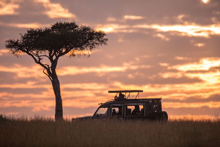 Safari