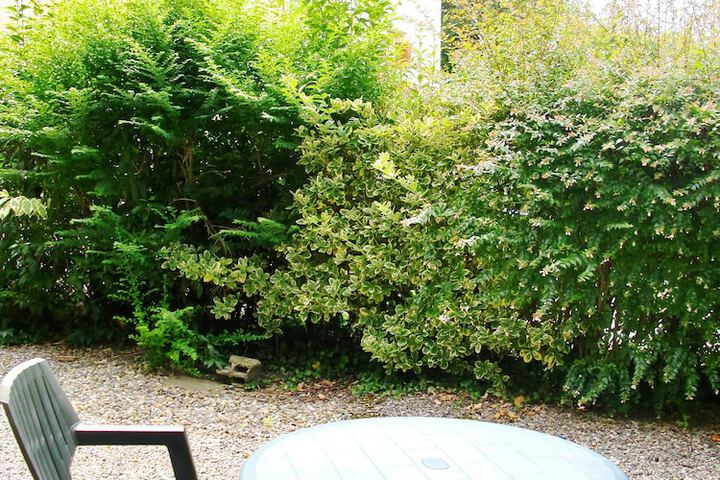 Terrace/Patio 26 of 52