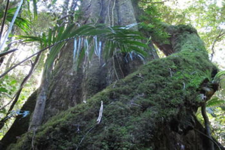 Property Grounds 28 of 43