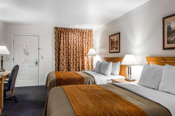 2 Queen Beds (1 of 15)