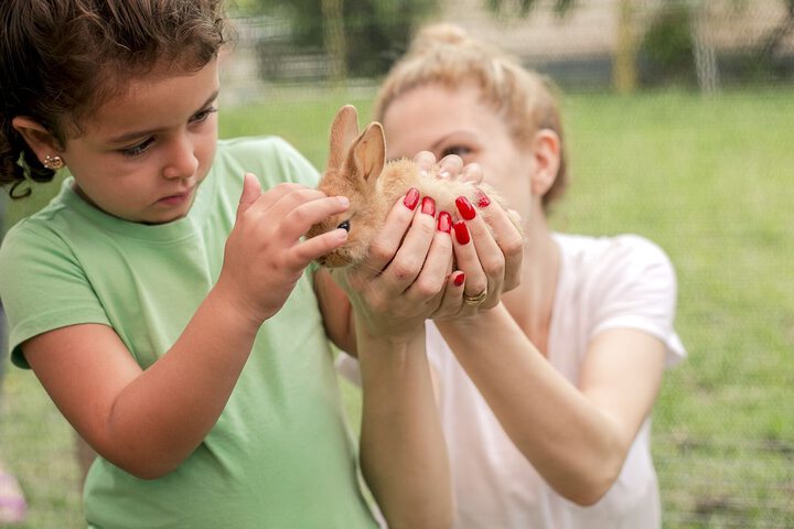 Childrens Activities 28 of 49