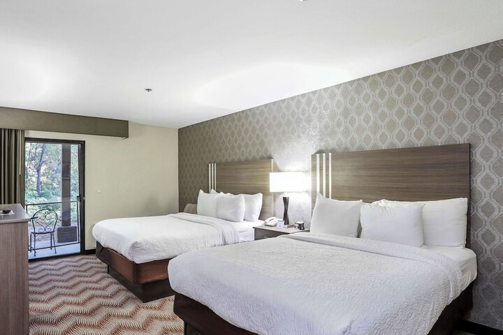 2 Queen Beds Pet Friendly (5 of 17)