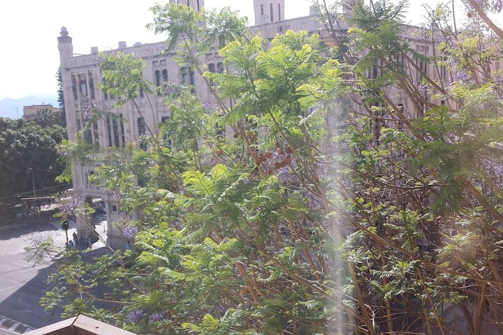 View from room