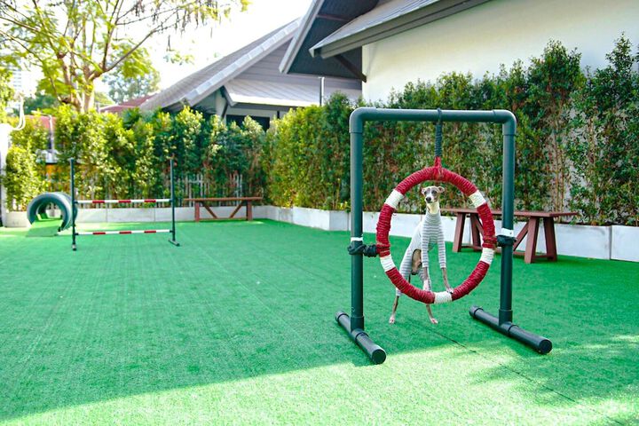 Pet Friendly 147 of 210