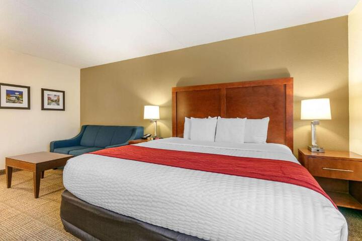 1 King Bed (11 of 14)