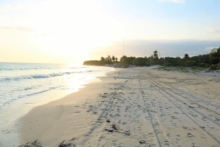 Beach 36 of 56