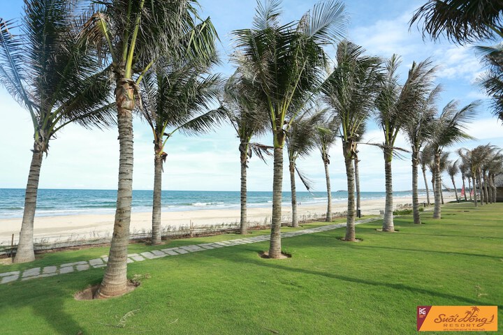 Beach 26 of 36