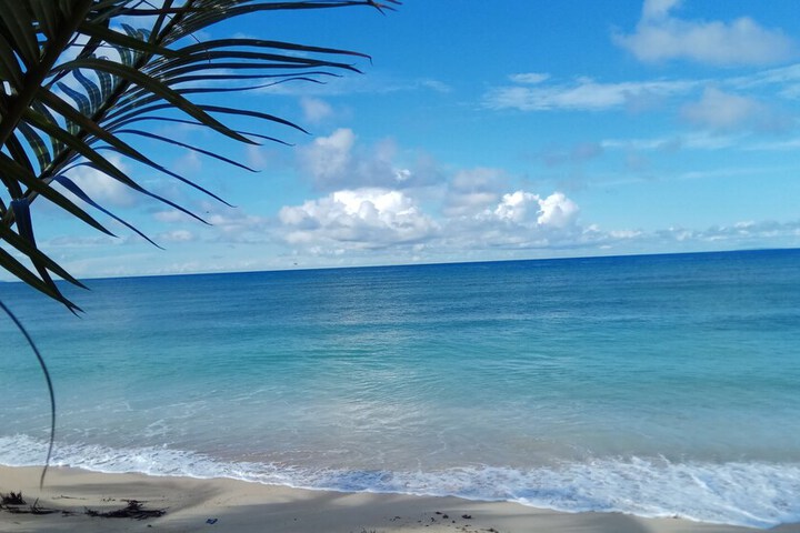 Beach 20 of 26