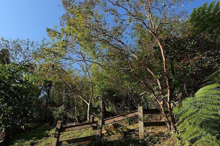TWIN OAKS