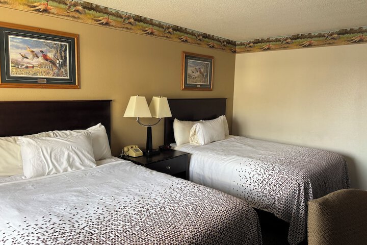 Room 19 of 51