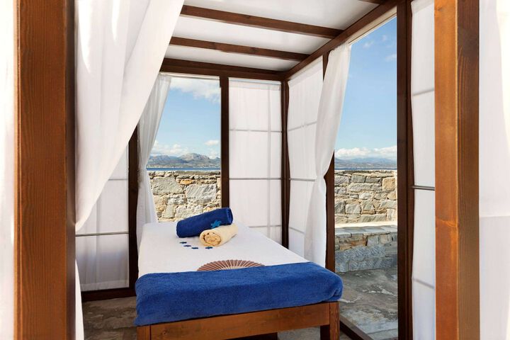 Spa and Wellness