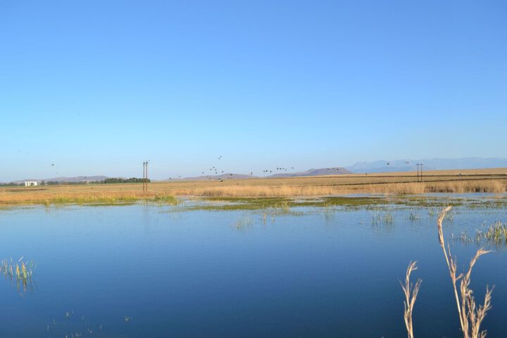 Property Grounds 3 of 12