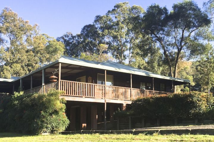 Blackwattle at Barrington Tops