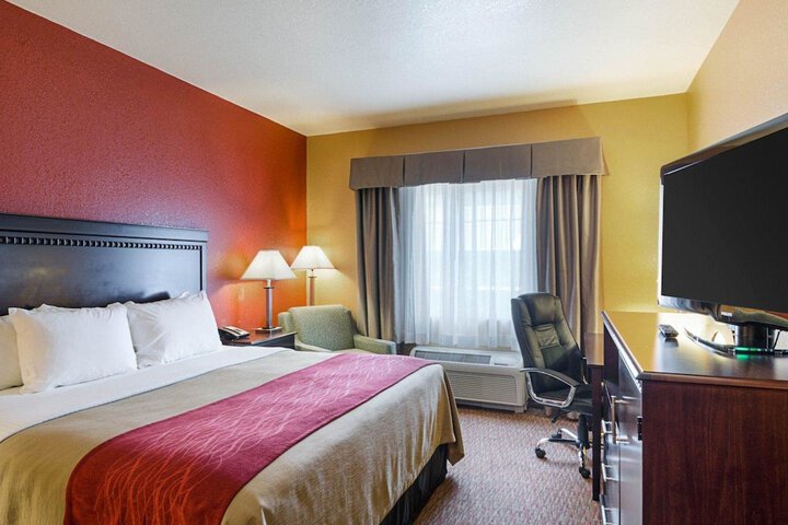 Suite King Bed Accessible (3 of 7)