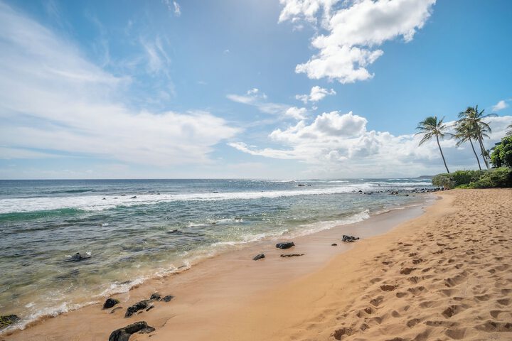 Beach 309 of 312