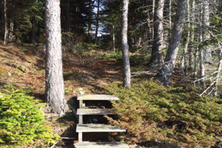 Property Grounds 29 of 47