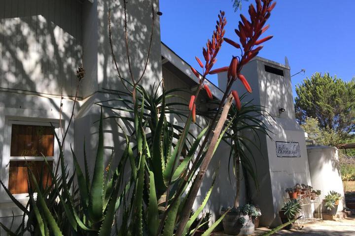 General 9 of 40