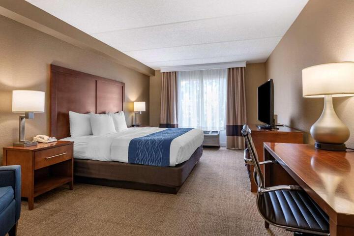 Standard | King Bed (4 of 10)