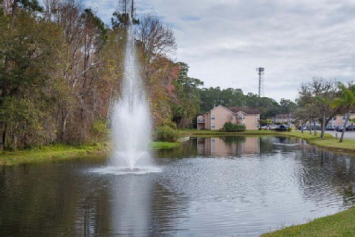 Property Grounds 11 of 24