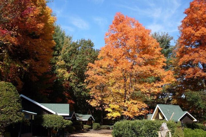 Property Grounds 31 of 42