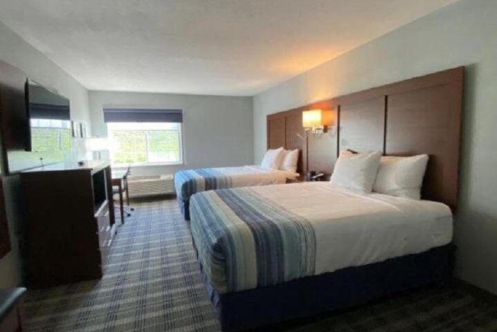 2 Queen Beds (8 of 20)