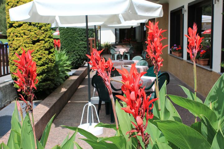Terrace/Patio 55 of 64